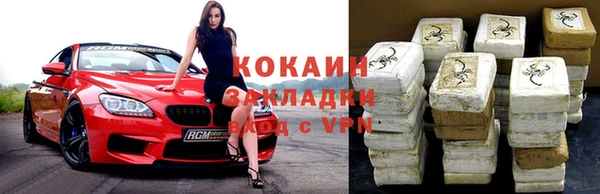 гашик Богданович