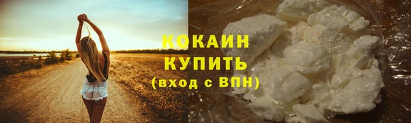 Альфа ПВП Богородск