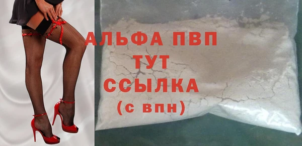 гашик Богданович