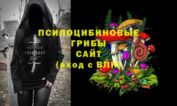 МДПВ Белокуриха