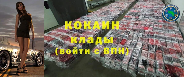 гашик Богданович