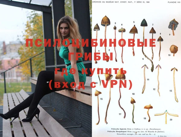 гашик Богданович