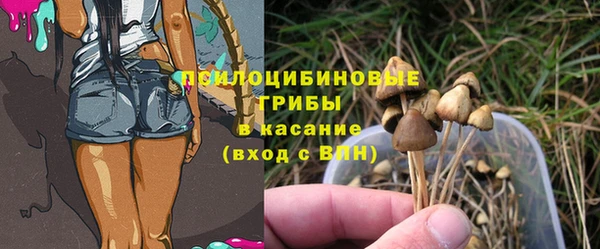 Альфа ПВП Богородск