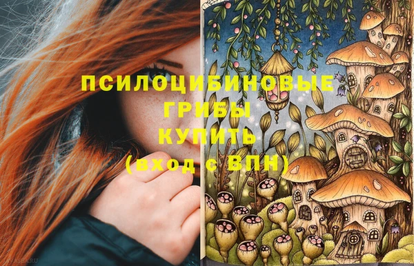 Альфа ПВП Богородск