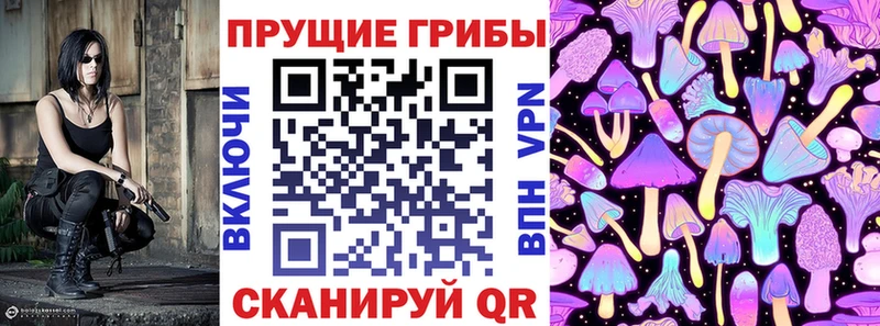 где купить наркоту  Озёрск  Псилоцибиновые грибы Cubensis 